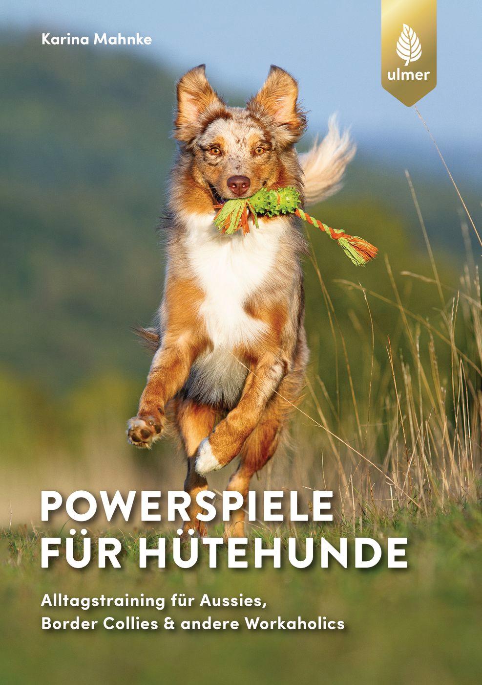 Vorderes Coverbild Powerspiele für Hütehunde