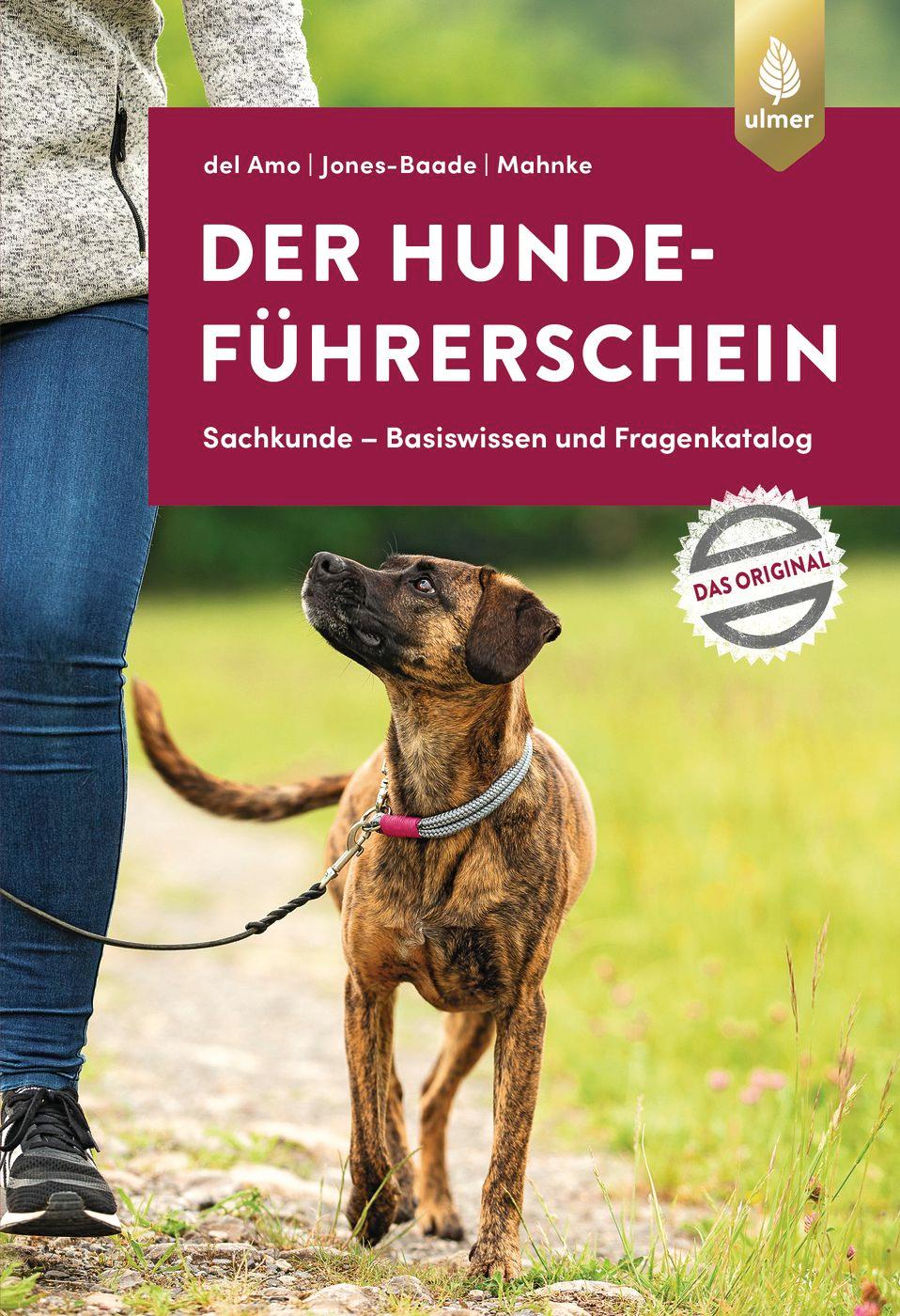 Vorderes Coverbild Der Hundeführerschein