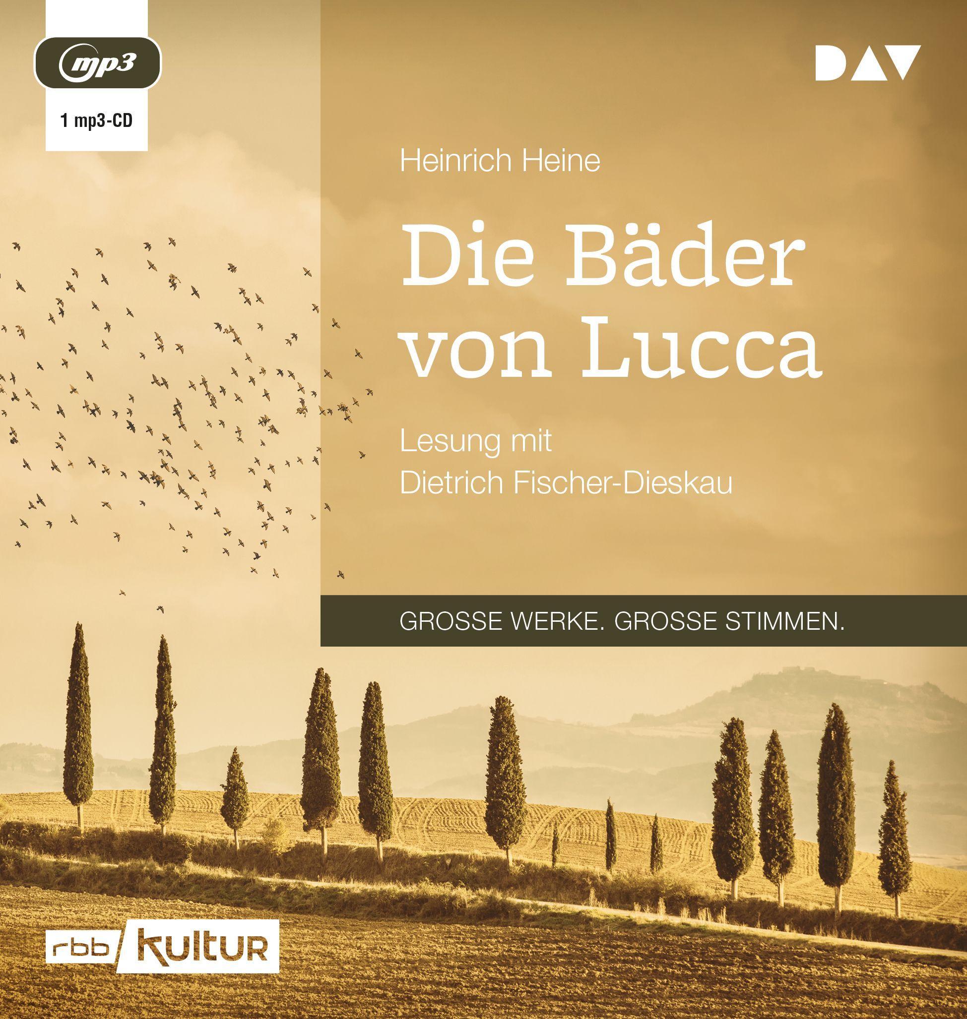 Vorderes Coverbild Die Bäder von Lucca