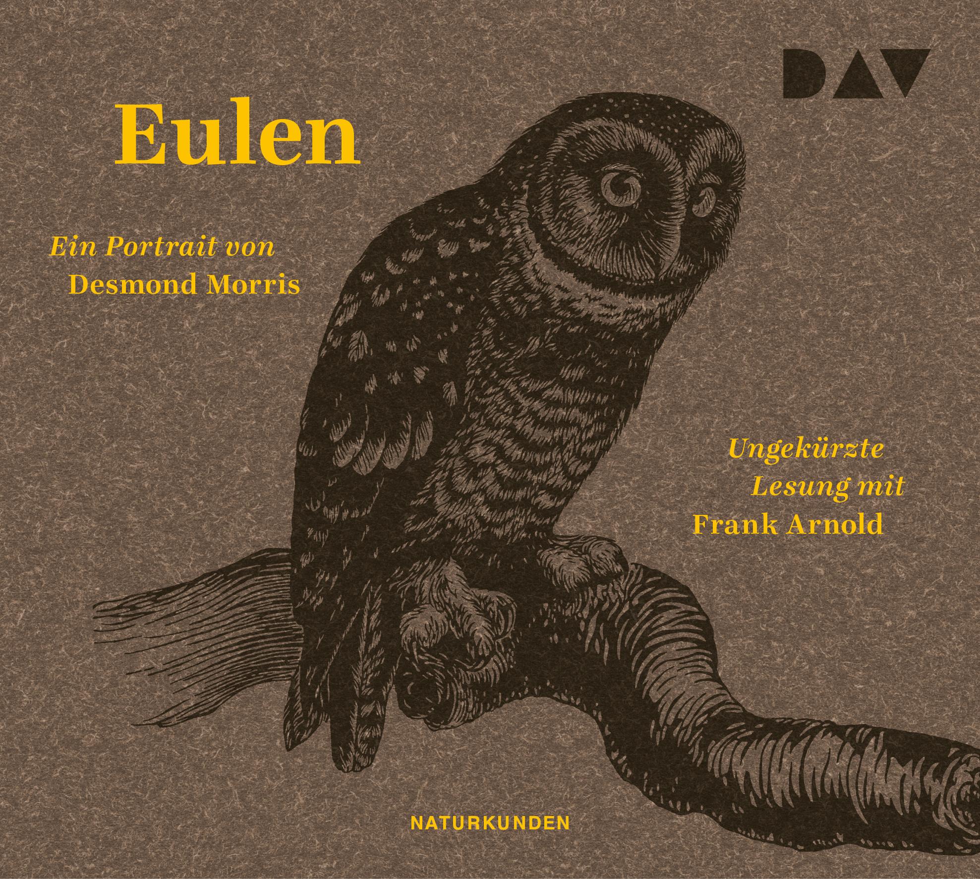 Vorderes Coverbild Eulen. Ein Portrait