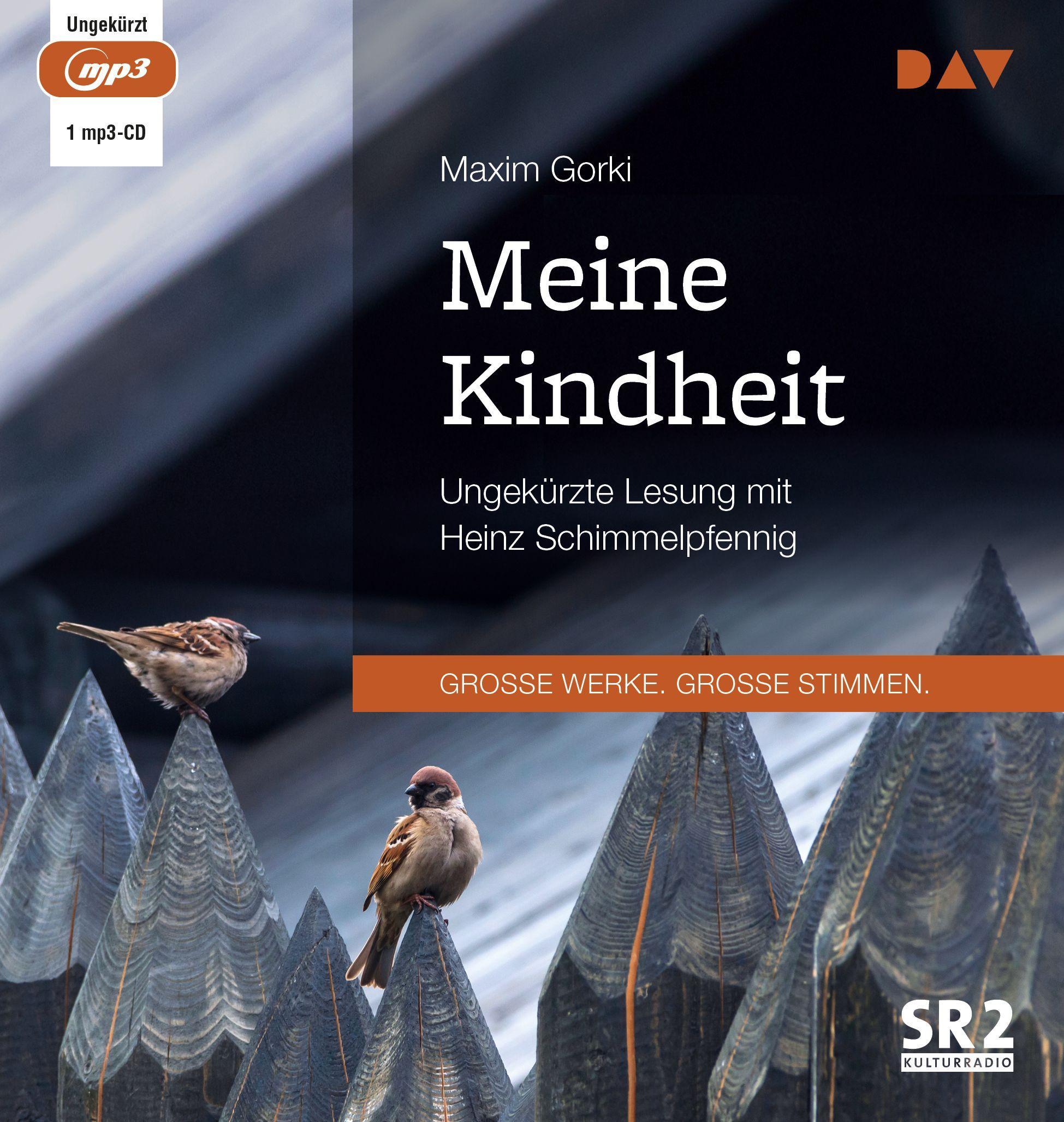 Vorderes Coverbild Meine Kindheit