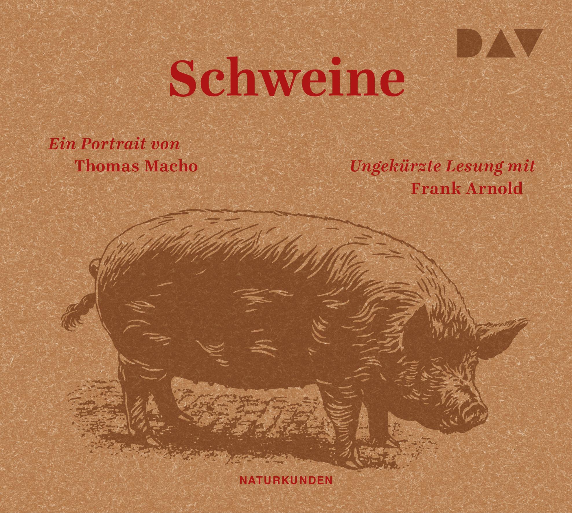 Vorderes Coverbild Schweine. Ein Portrait