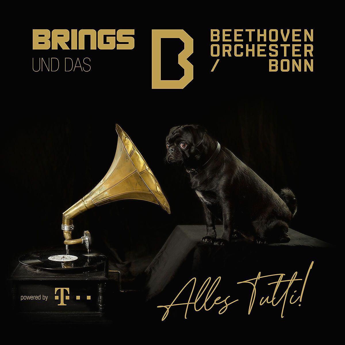 Vorderes Coverbild Brings & Beethoven Orchester Bonn: Alles Tutti!