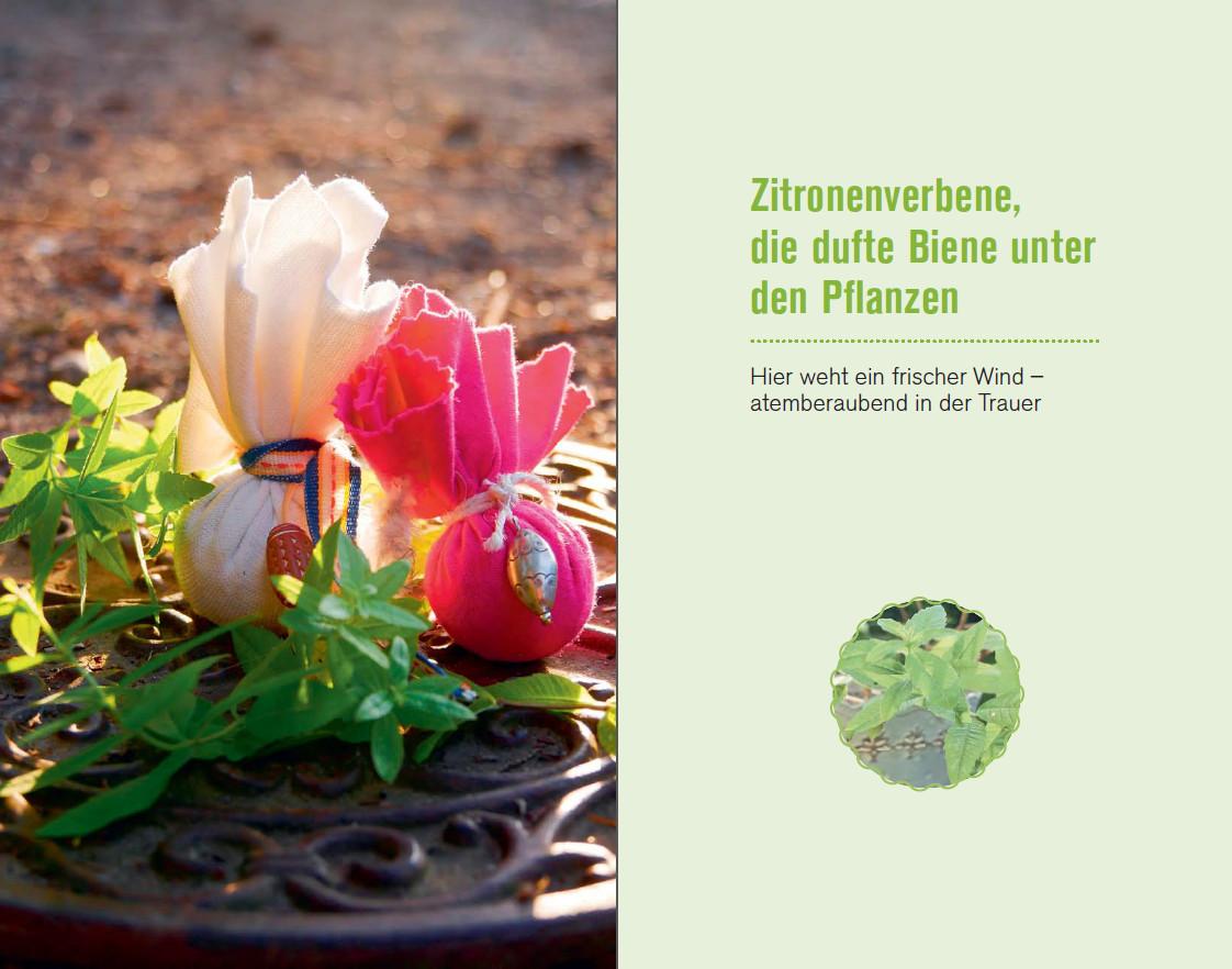 Beispielinhalt (Bild) Mit Heilpflanzen durch die Trauer