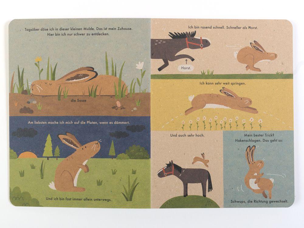 Beispielinhalt (Bild) Ich bin der Hase
