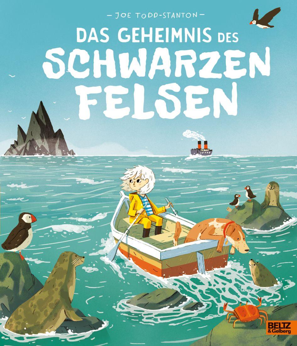 Vorderes Coverbild Das Geheimnis des Schwarzen Felsen