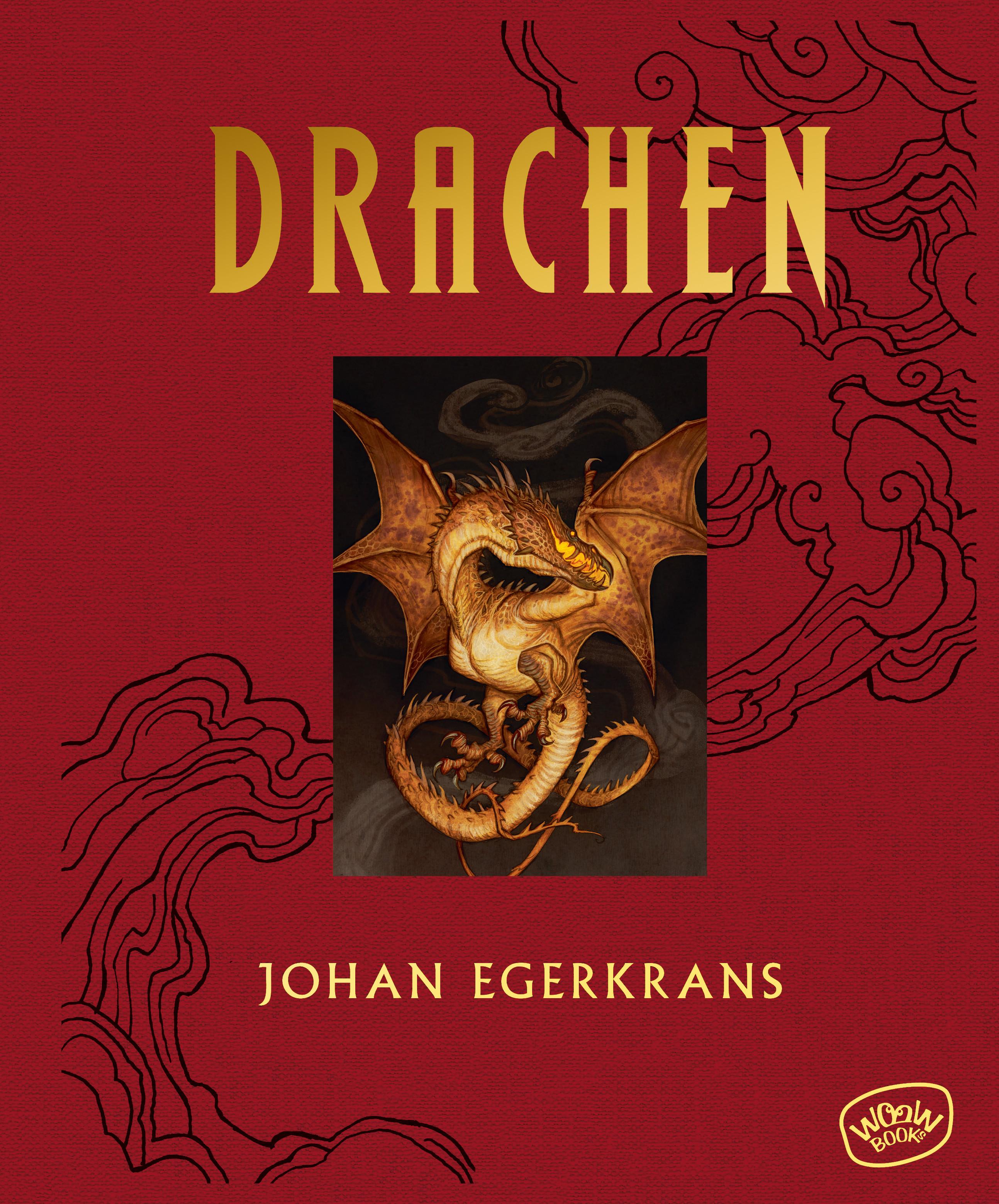 Vorderes Coverbild Drachen