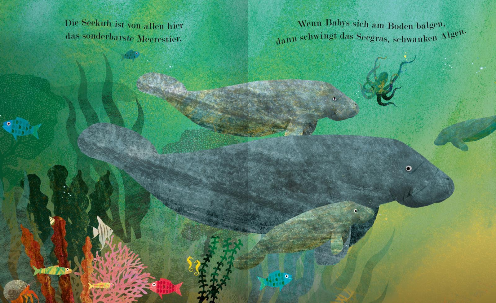 Beispielinhalt (Bild) Meer