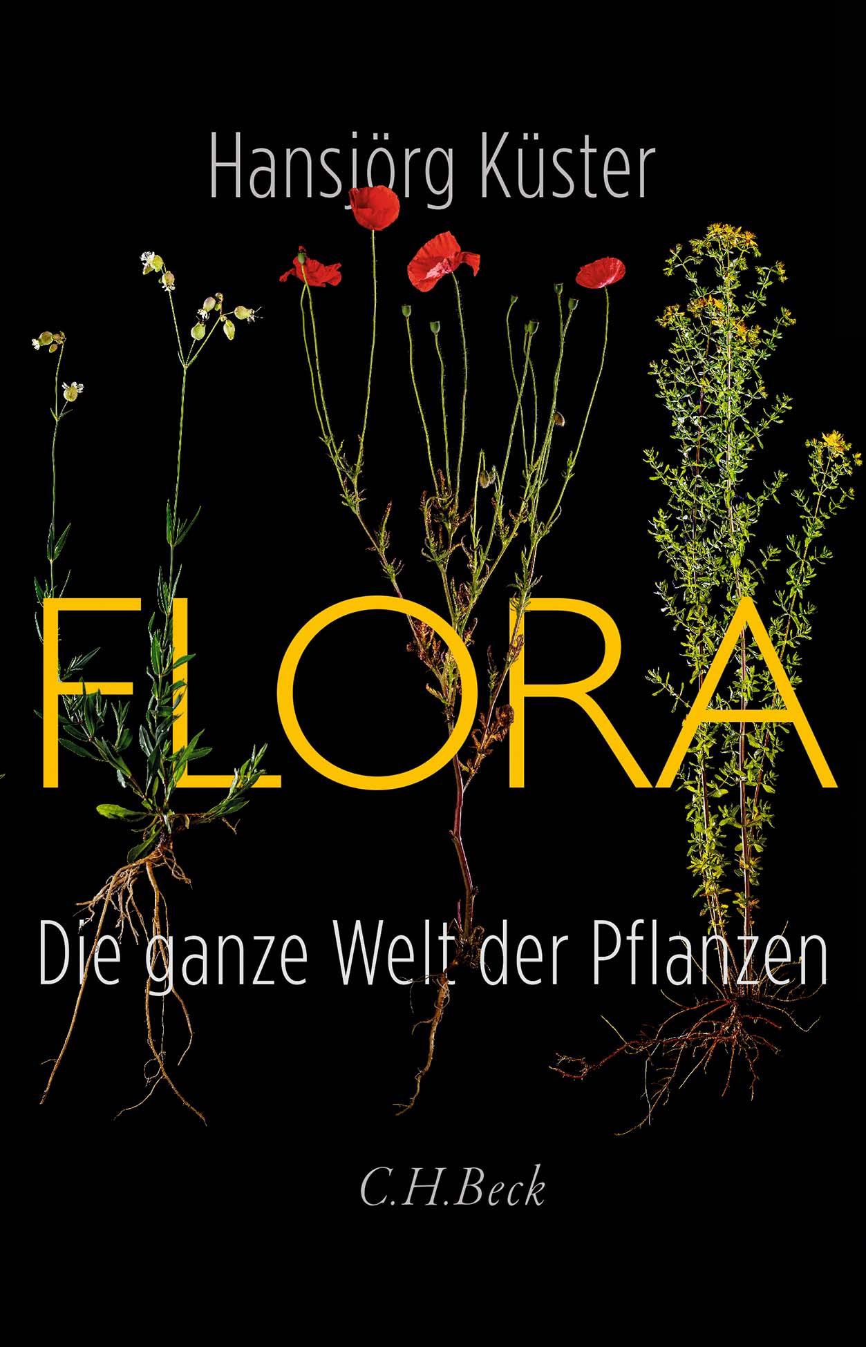 Vorderes Coverbild Flora