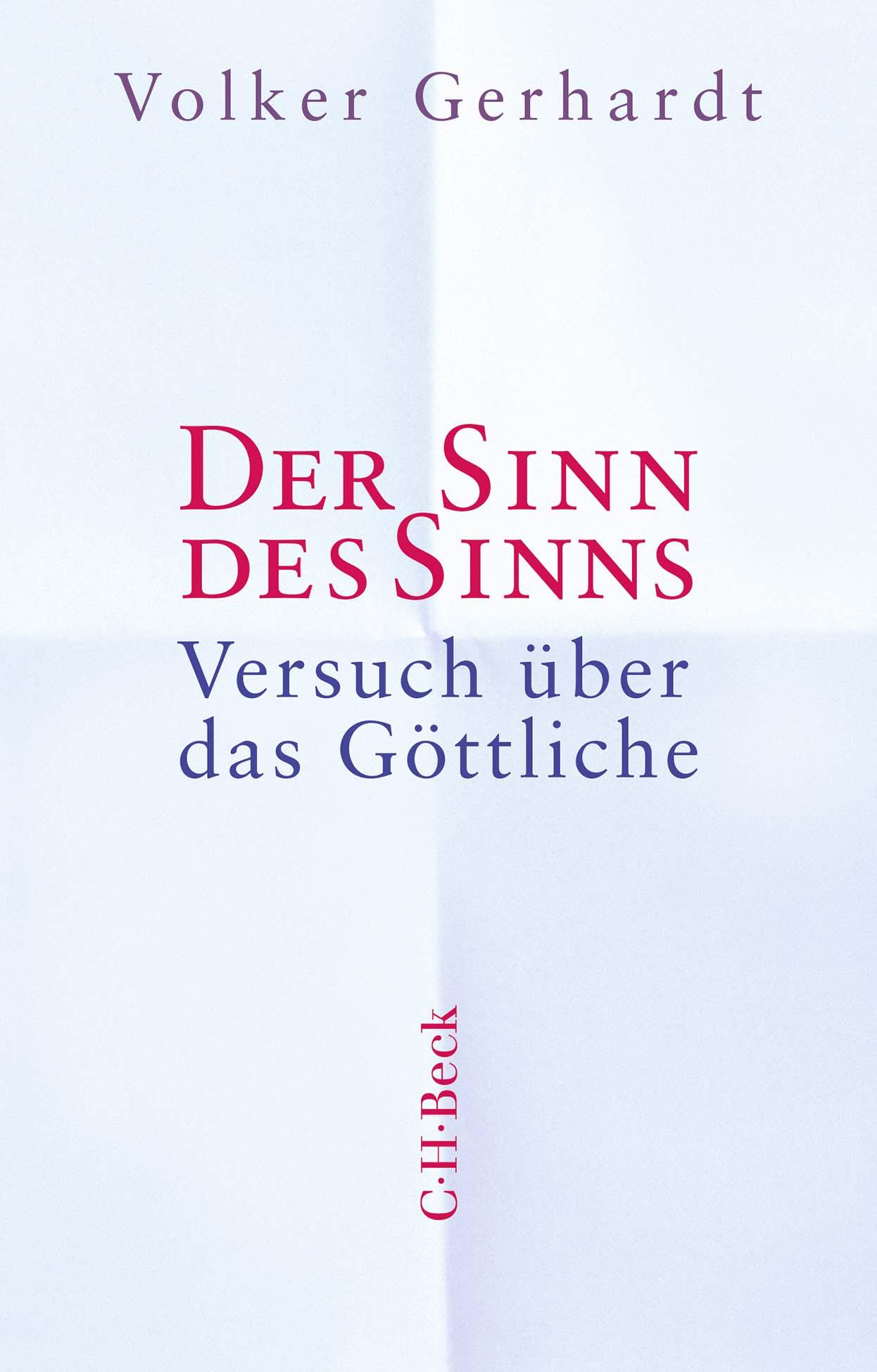 Vorderes Coverbild Der Sinn des Sinns