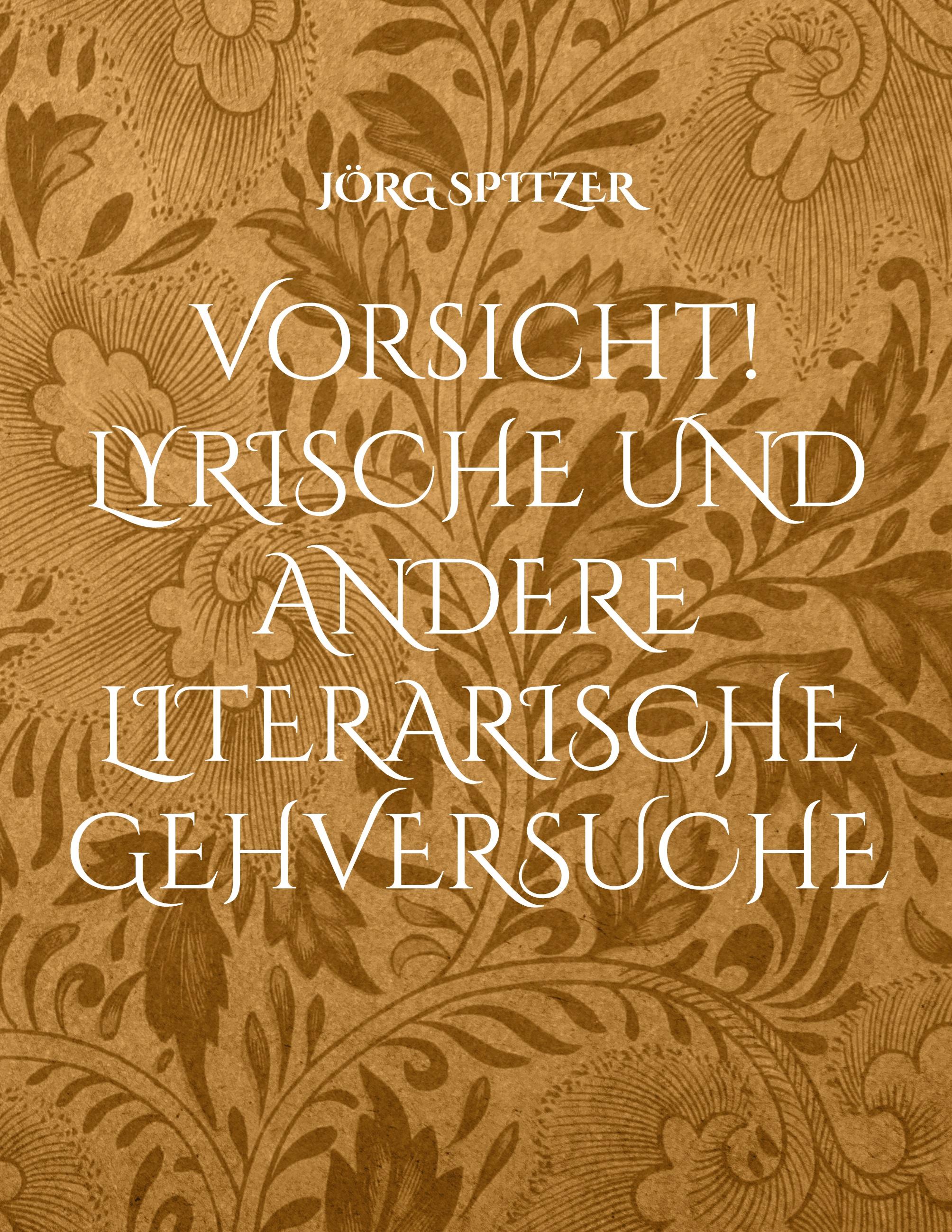 Vorderes Coverbild Vorsicht! Lyrische und andere literarische Gehversuche