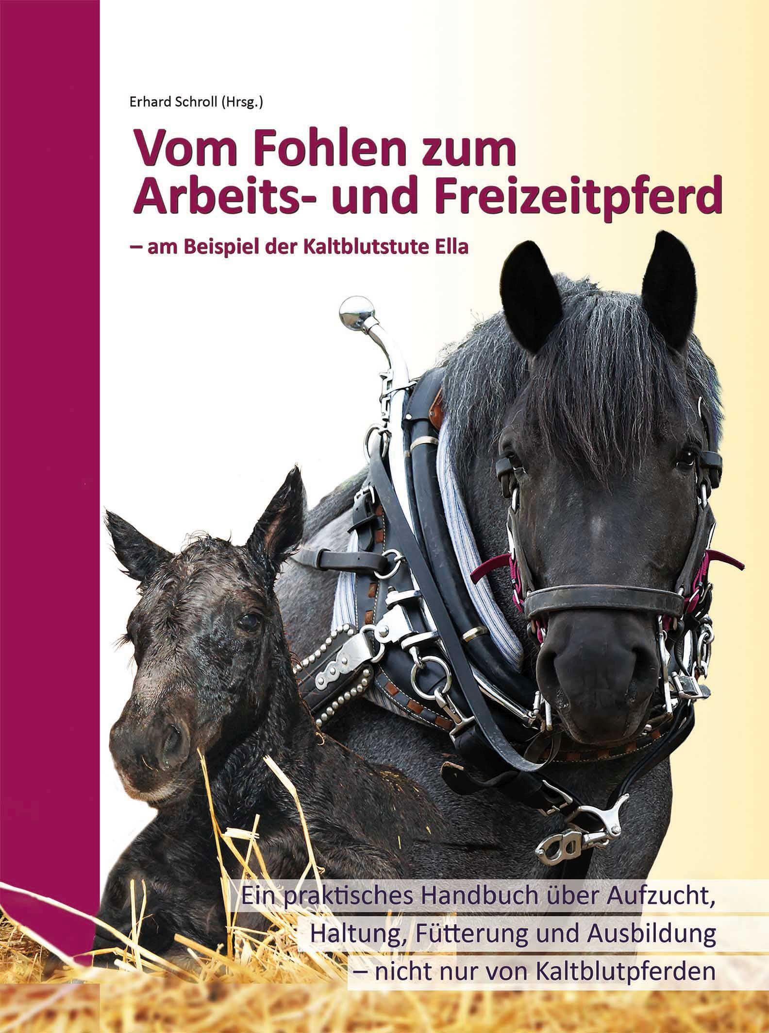 Vorderes Coverbild Vom Fohlen zum Arbeits- und Freizeitpferd