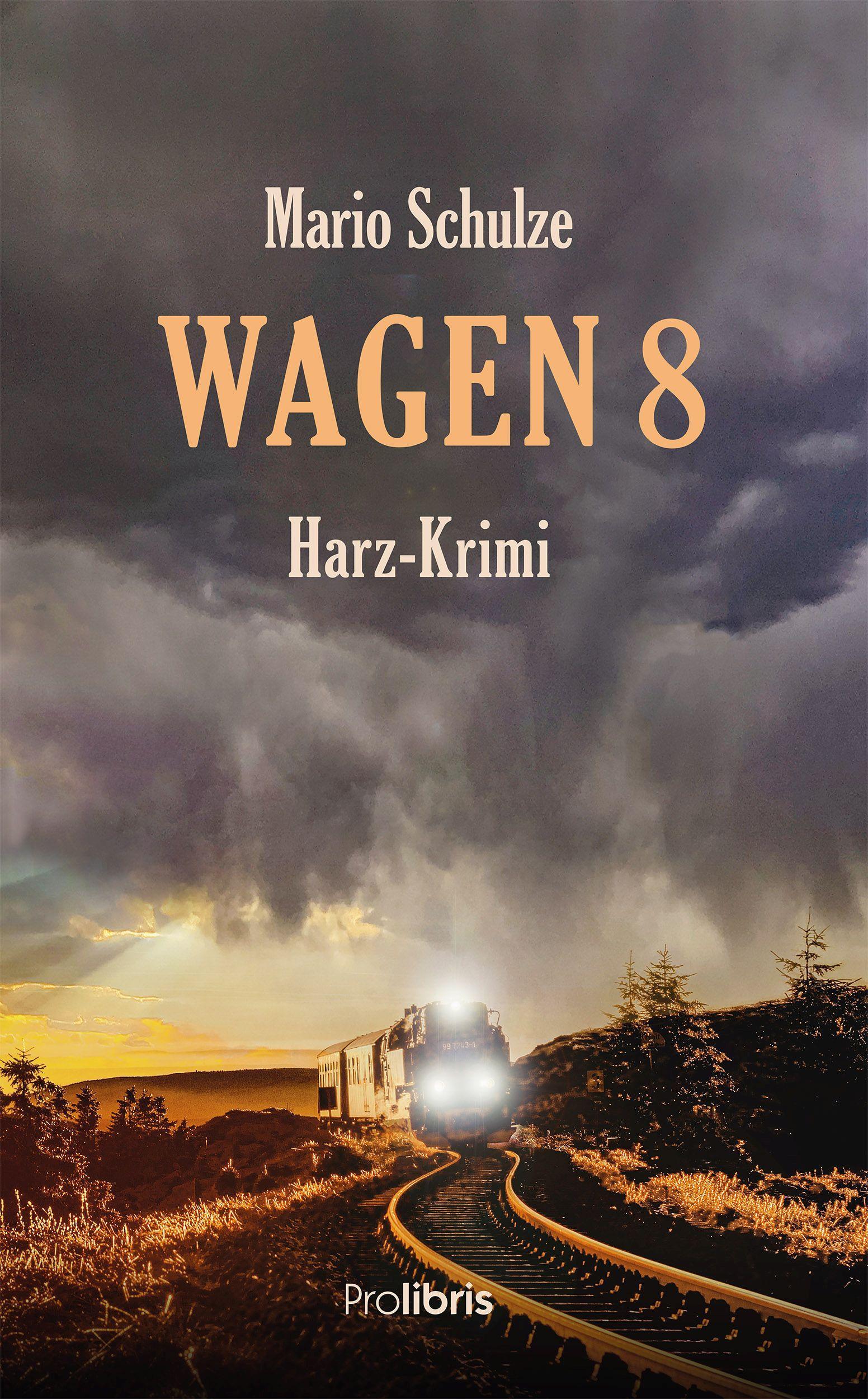 Vorderes Coverbild Wagen 8