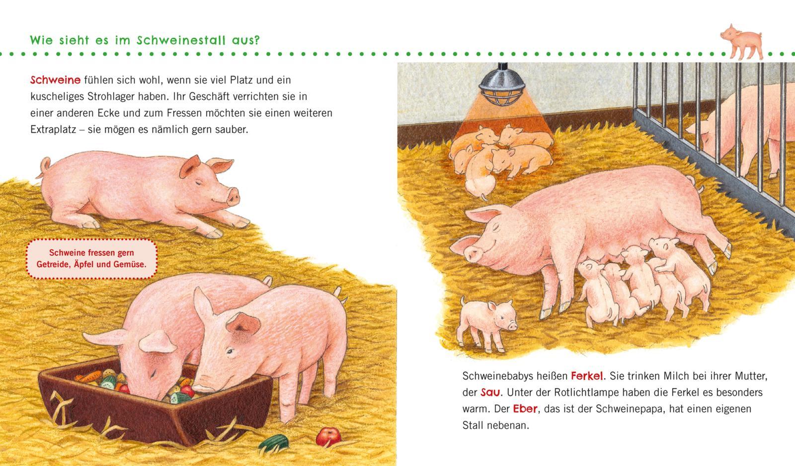 Beispielinhalt (Bild) Unkaputtbar: Erstes Wissen: Unser Bauernhof