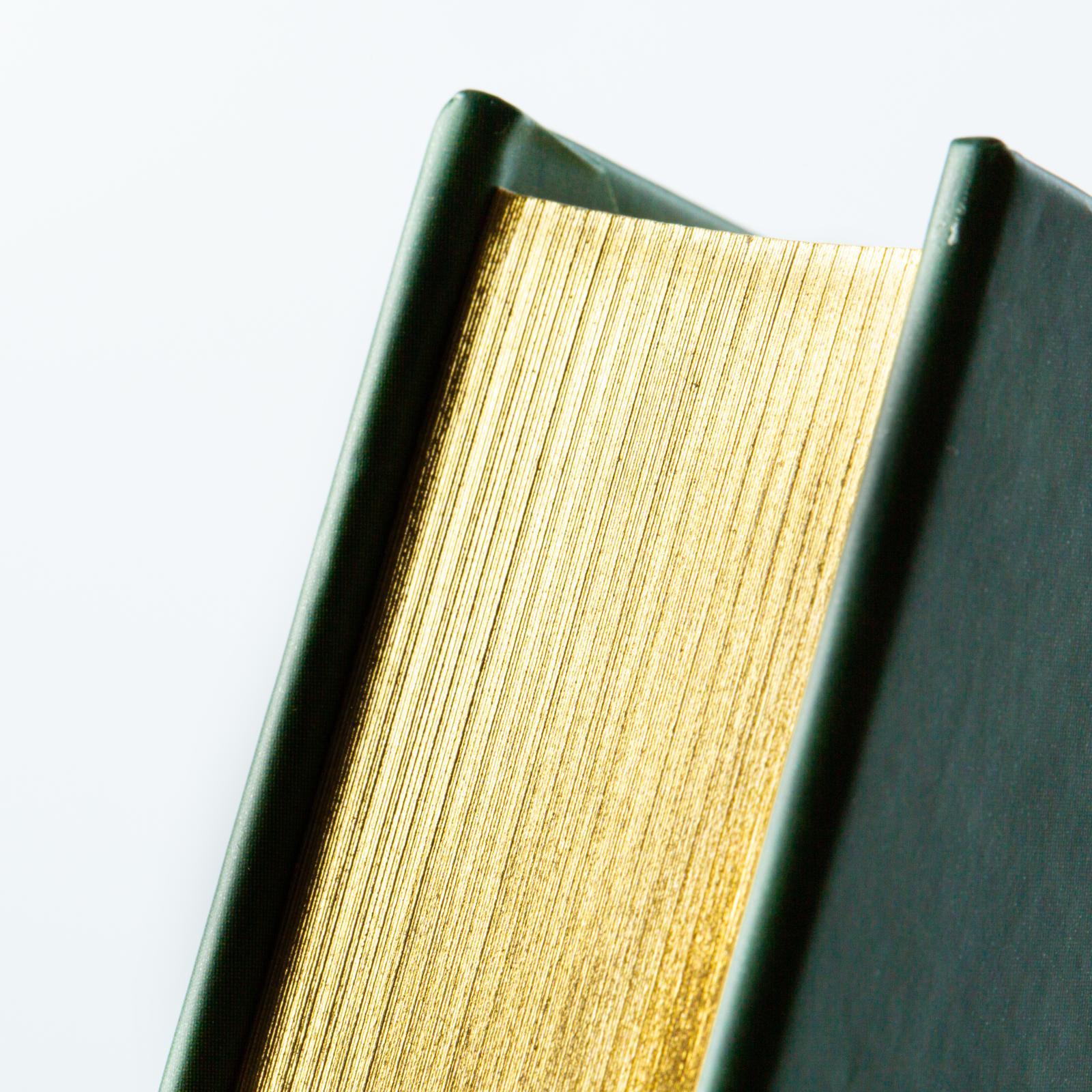 Beispielinhalt (Bild) Disney: Das große goldene Buch der Tiergeschichten
