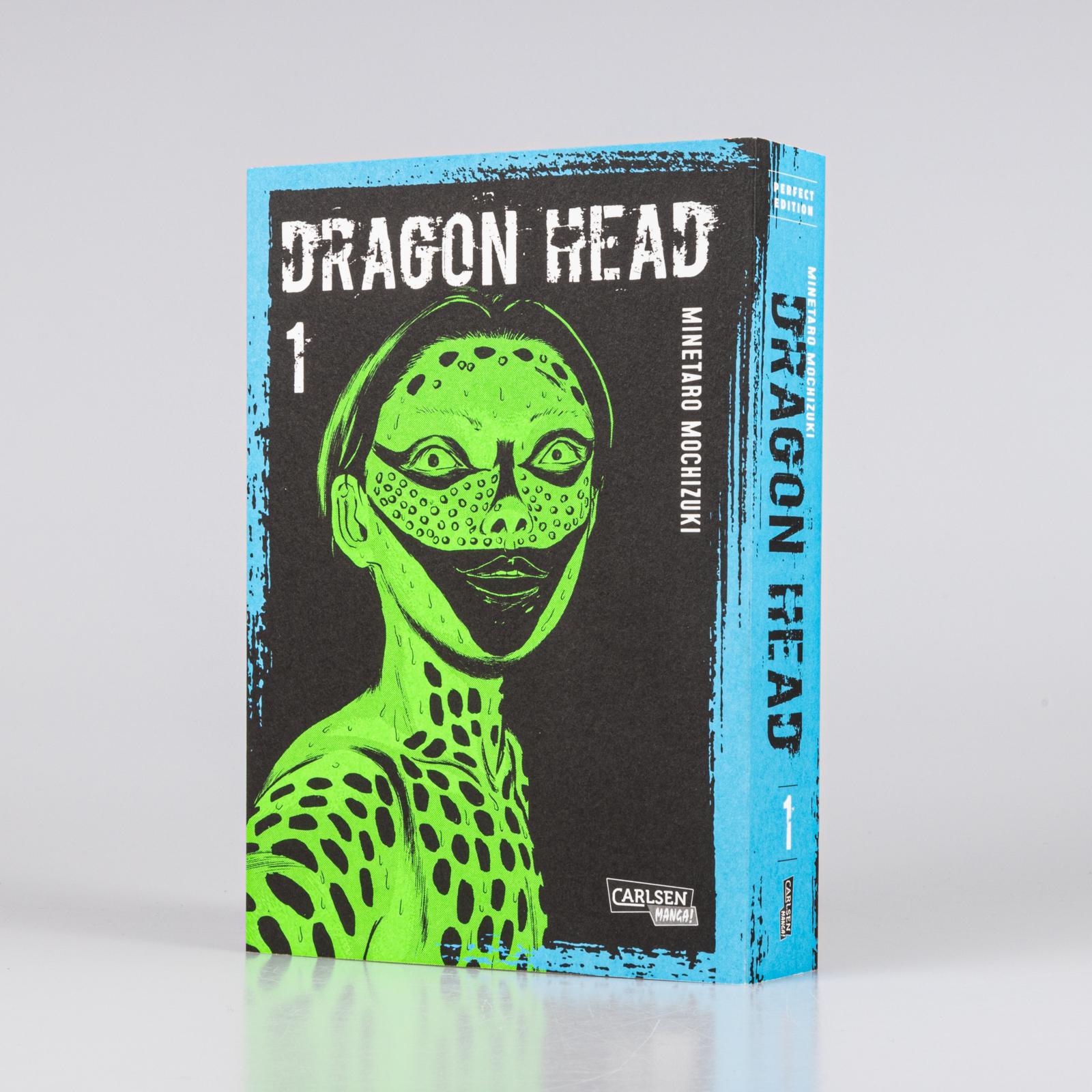 Beispielinhalt (Bild) Dragon Head Perfect Edition 1