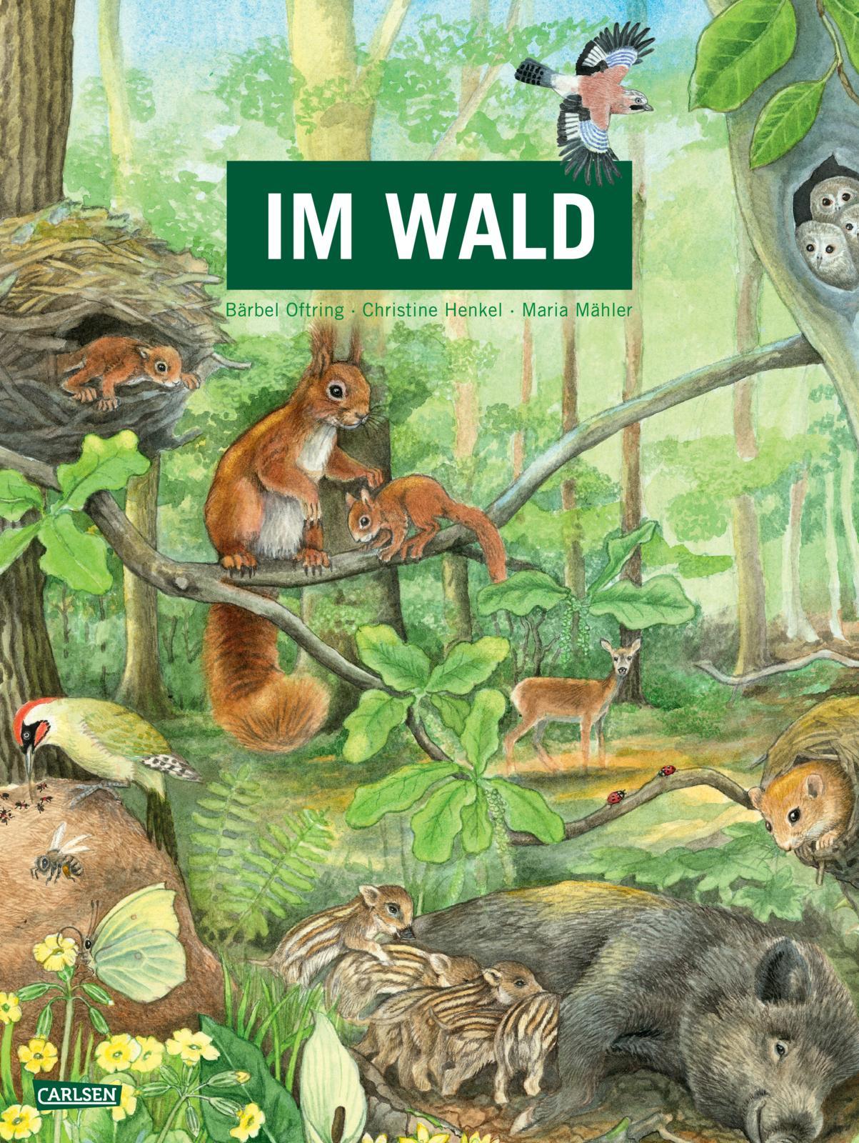Vorderes Coverbild Im Wald