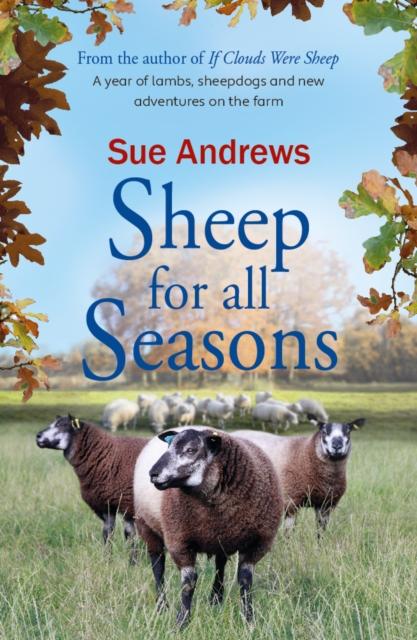 Vorderes Coverbild Sheep For All Seasons