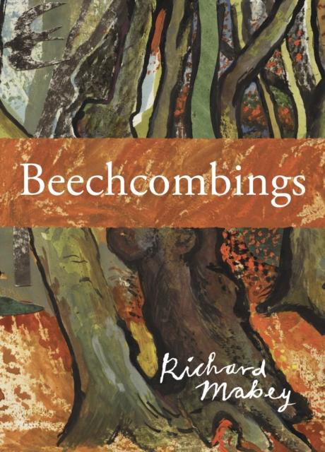 Vorderes Coverbild Beechcombings