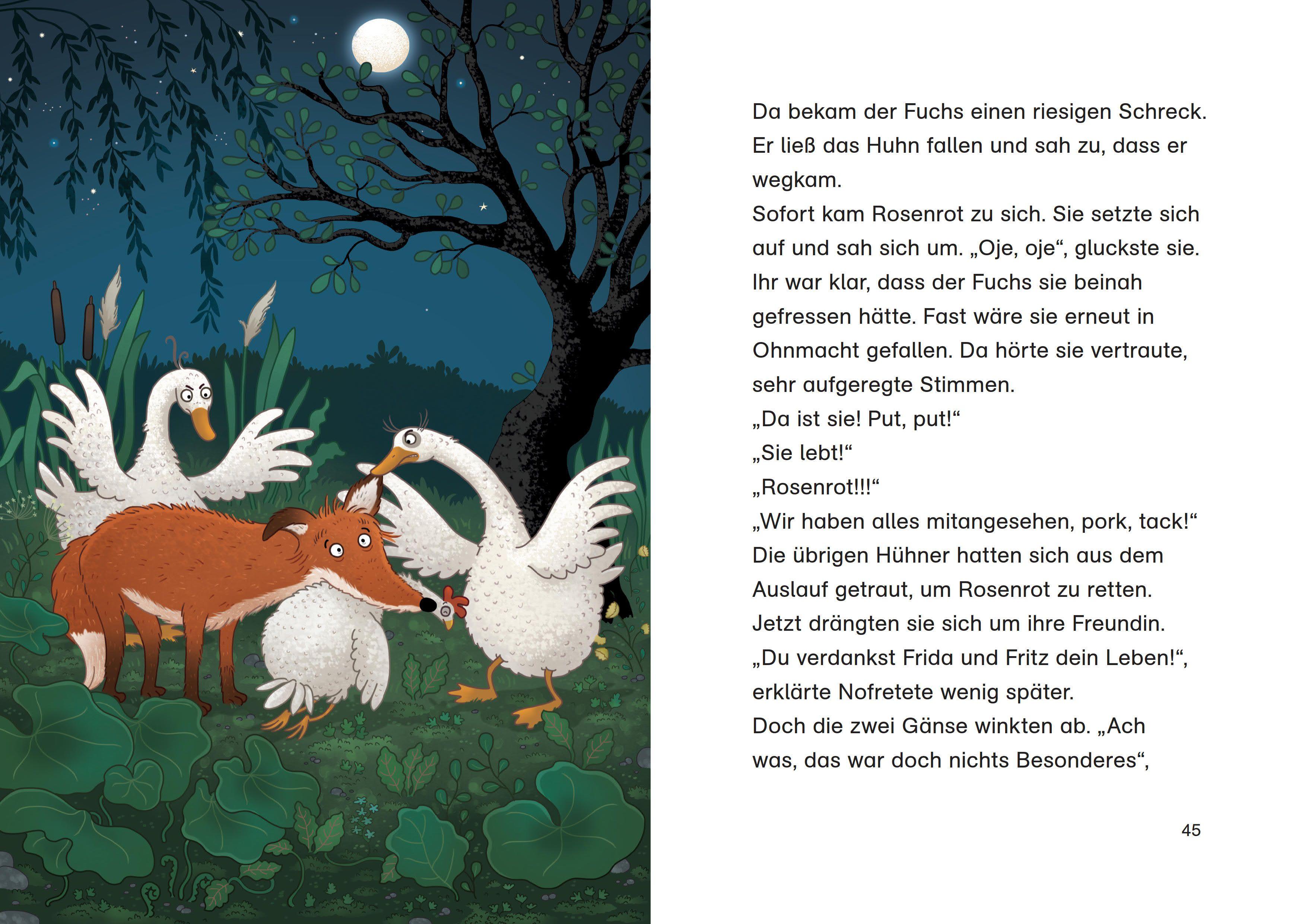 Beispielinhalt (Bild) Petronella Apfelmus Erstleser 3 - Krawall im Hühnerstall