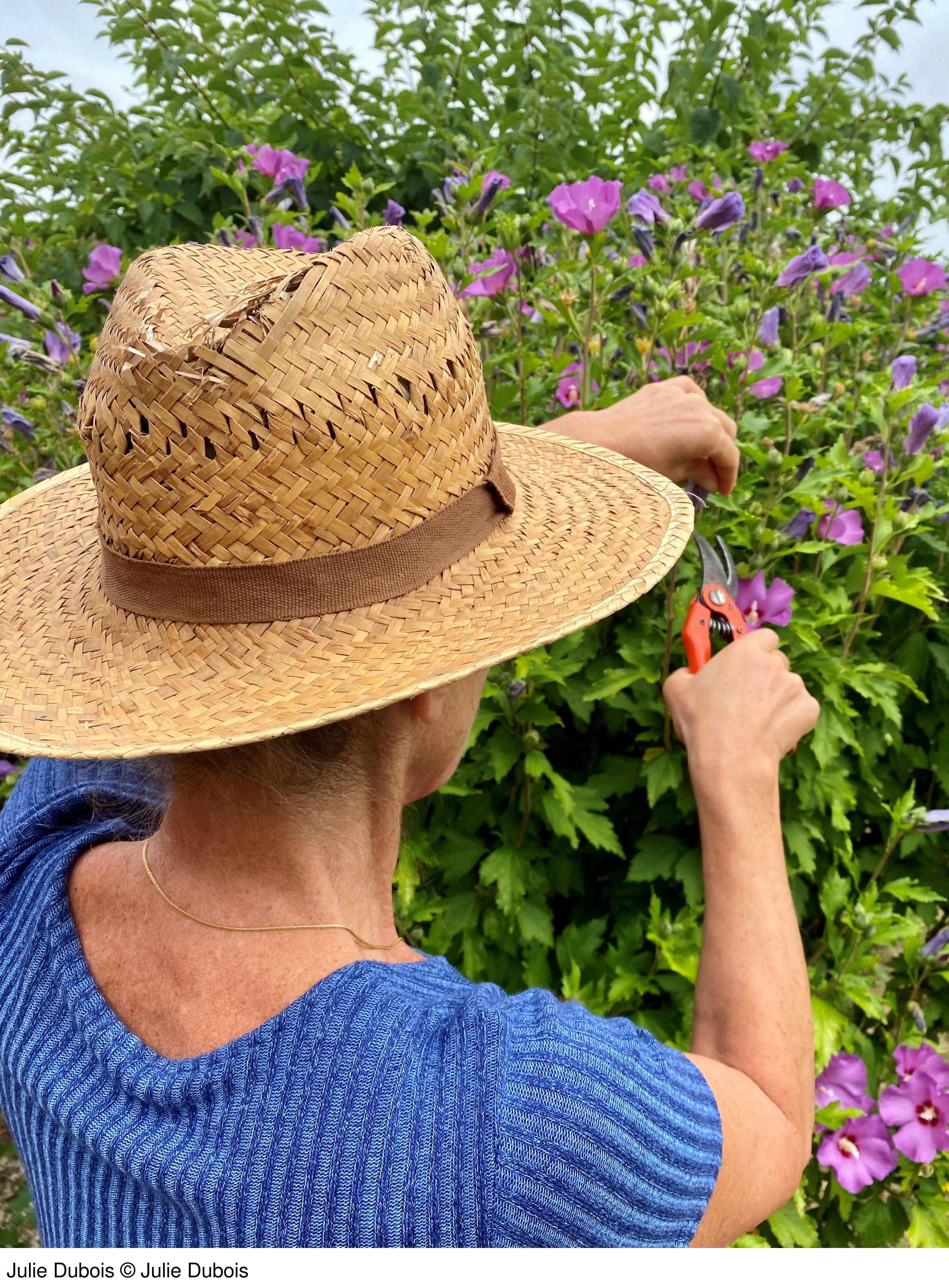 Autorenbild Kalte Blüten