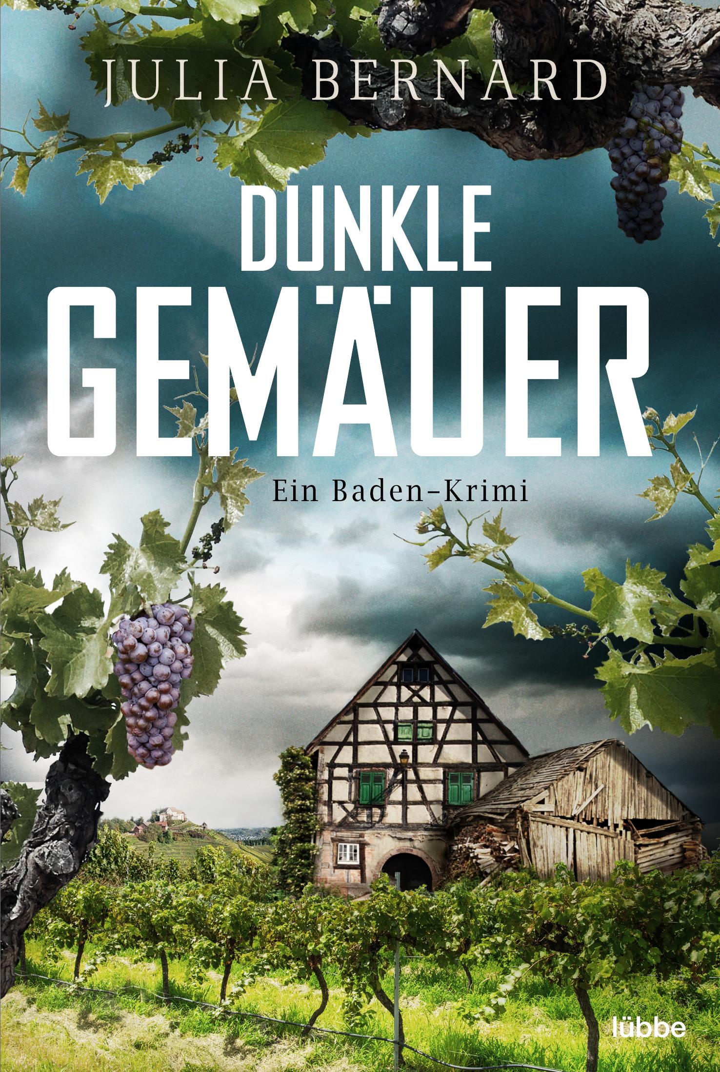 Vorderes Coverbild Dunkle Gemäuer