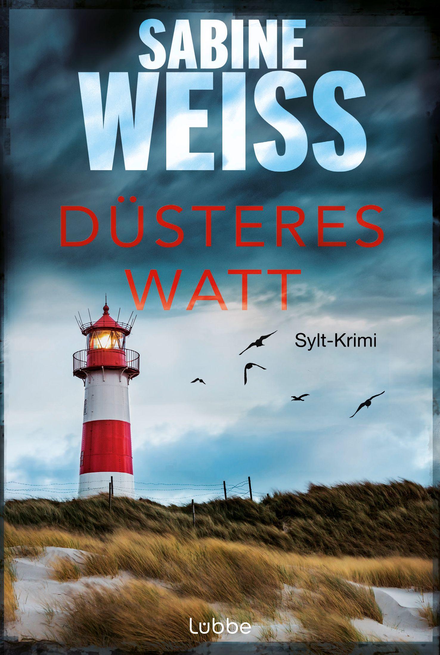 Vorderes Coverbild Düsteres Watt