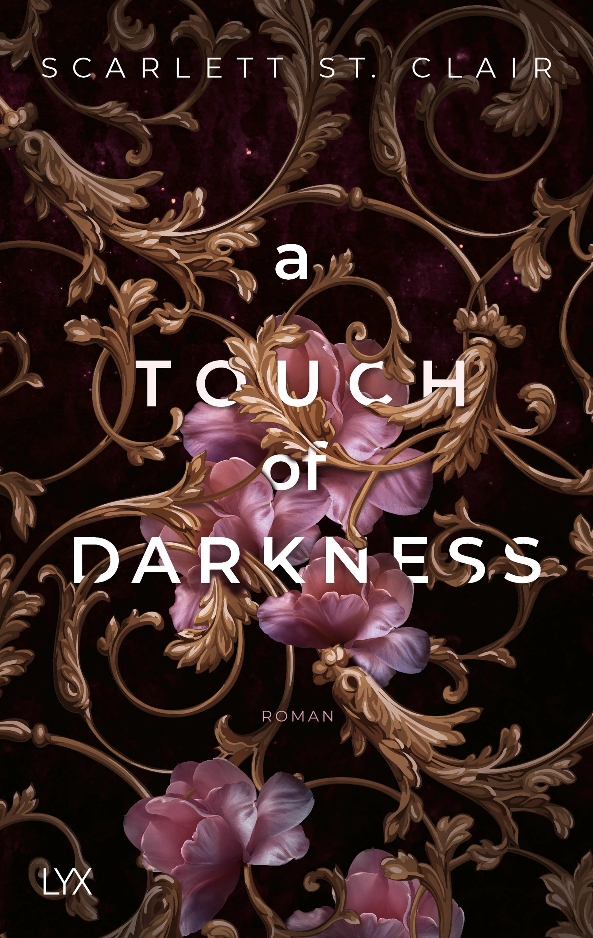 Vorderes Coverbild A Touch of Darkness