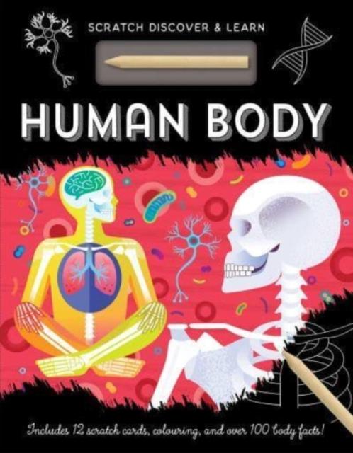 Vorderes Coverbild Human Body