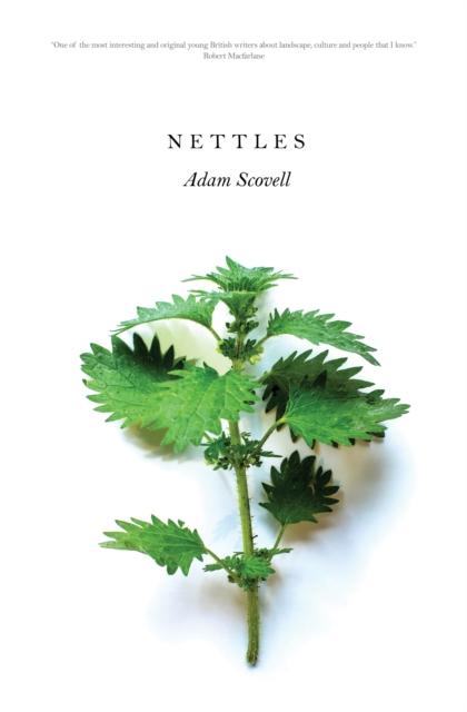 Vorderes Coverbild Nettles