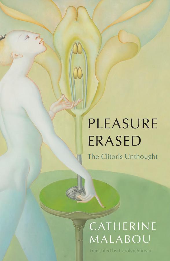 Vorderes Coverbild Pleasure Erased
