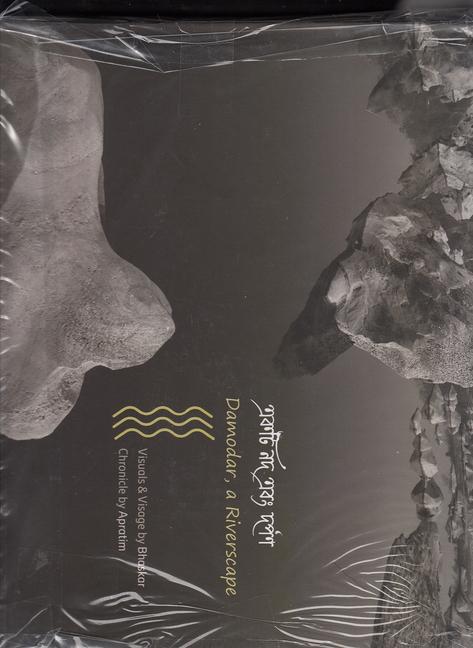 Vorderes Coverbild Damodar, a Riverscape