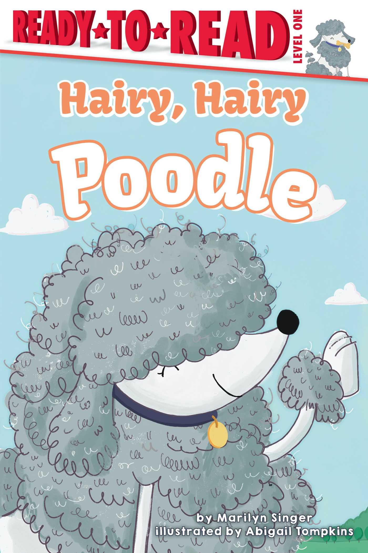 Vorderes Coverbild Hairy, Hairy Poodle