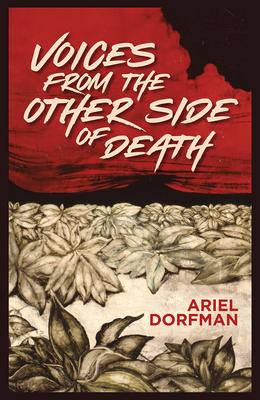 Vorderes Coverbild Voices from the Other Side of Death