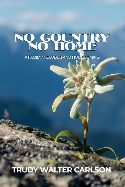 Vorderes Coverbild No Country No Home: A Family's Exodus and Homecoming
