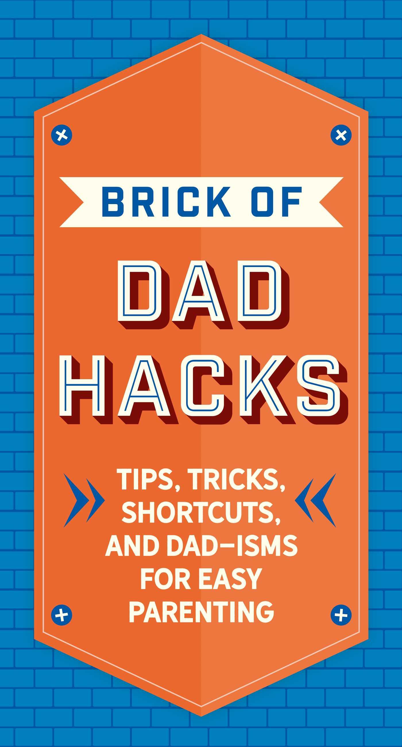 Vorderes Coverbild The Brick of Dad Hacks
