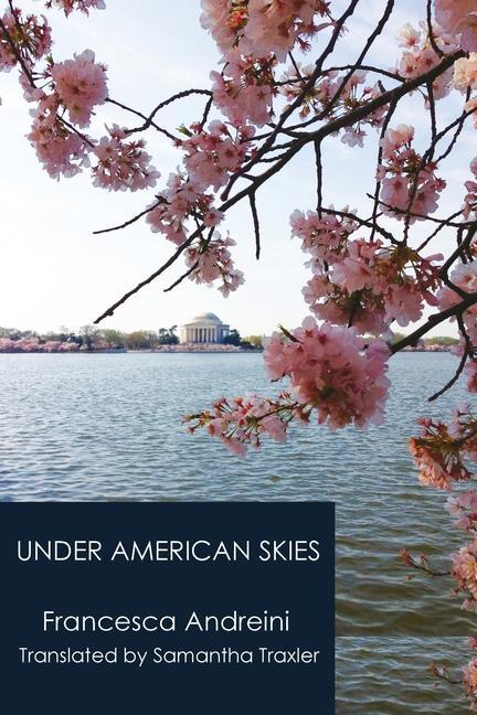 Vorderes Coverbild Under American Skies
