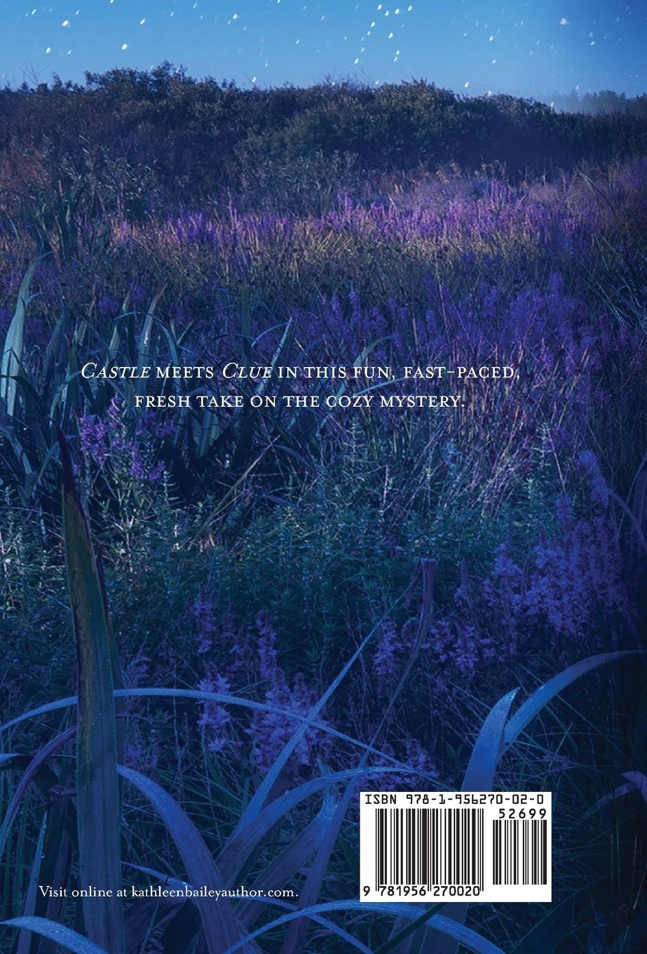 Rückseitencover Where the Light Shines Through