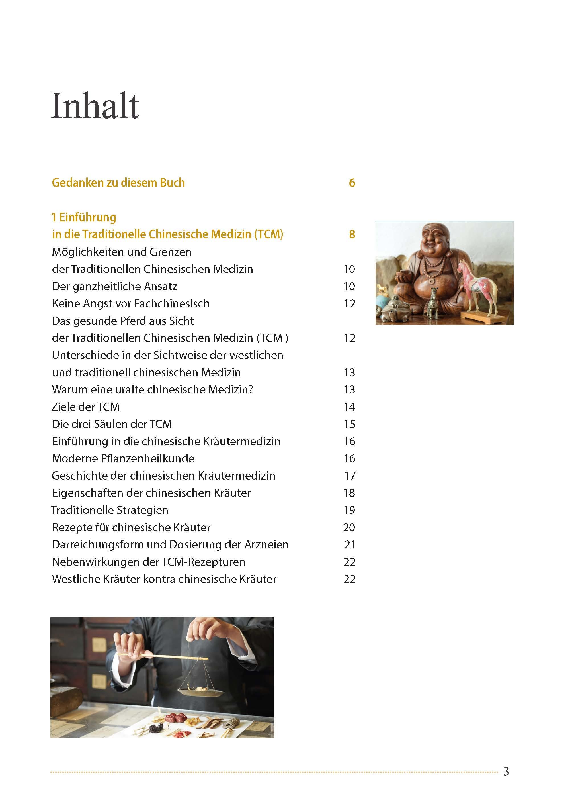 Beispielinhalt (Bild) Akupunktur beim Pferd