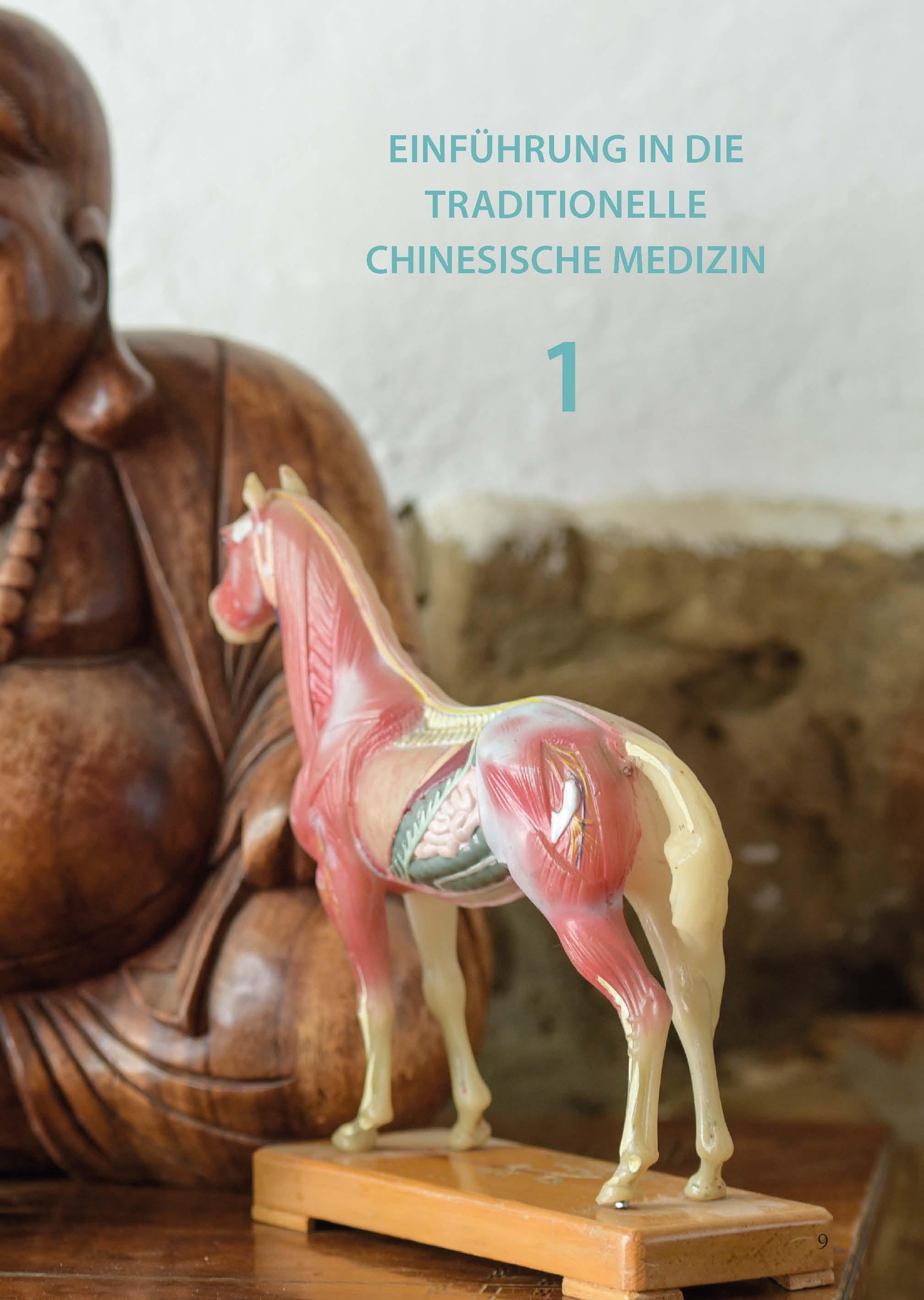 Beispielinhalt (Bild) Akupunktur beim Pferd