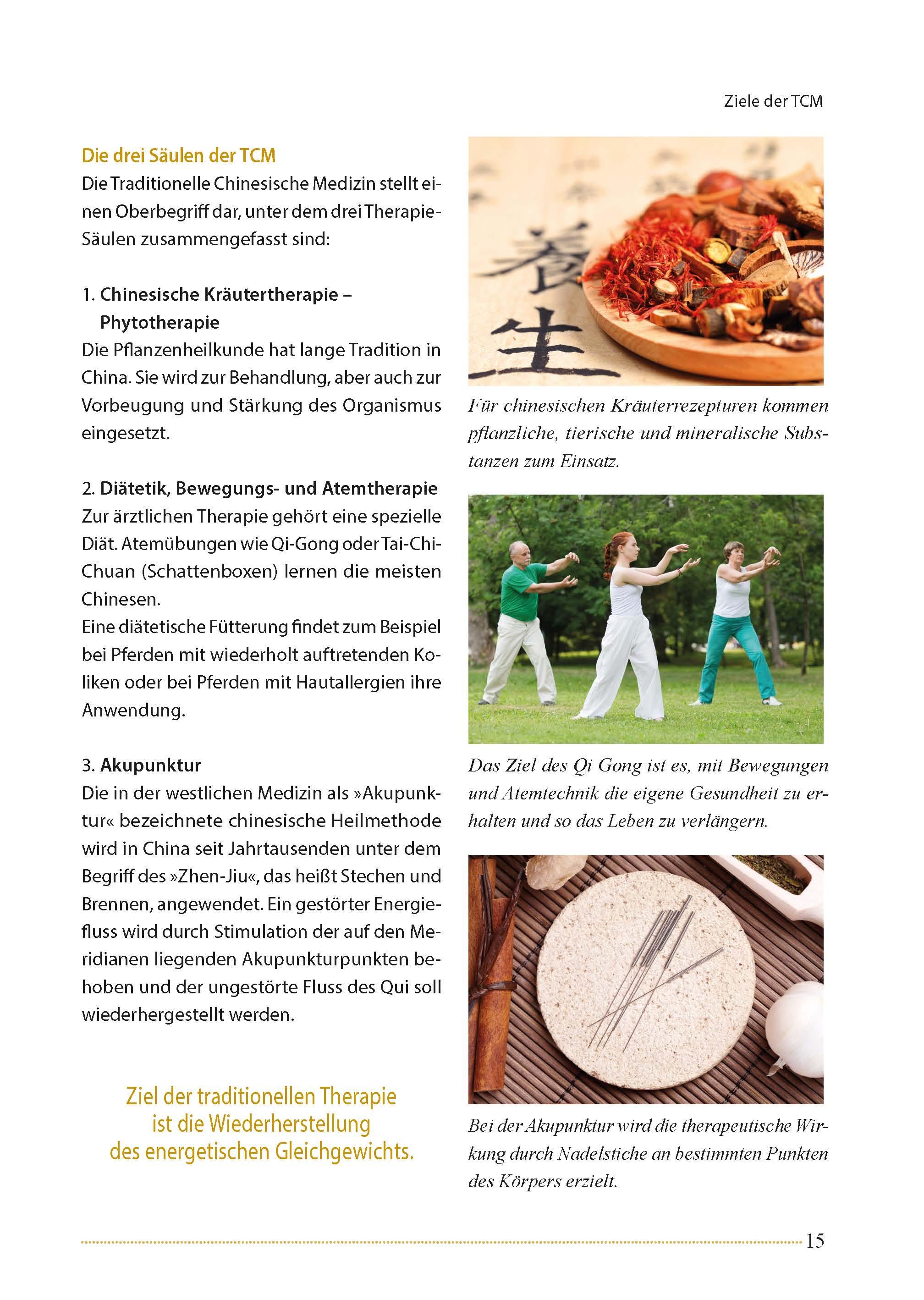 Beispielinhalt (Bild) Akupunktur beim Pferd