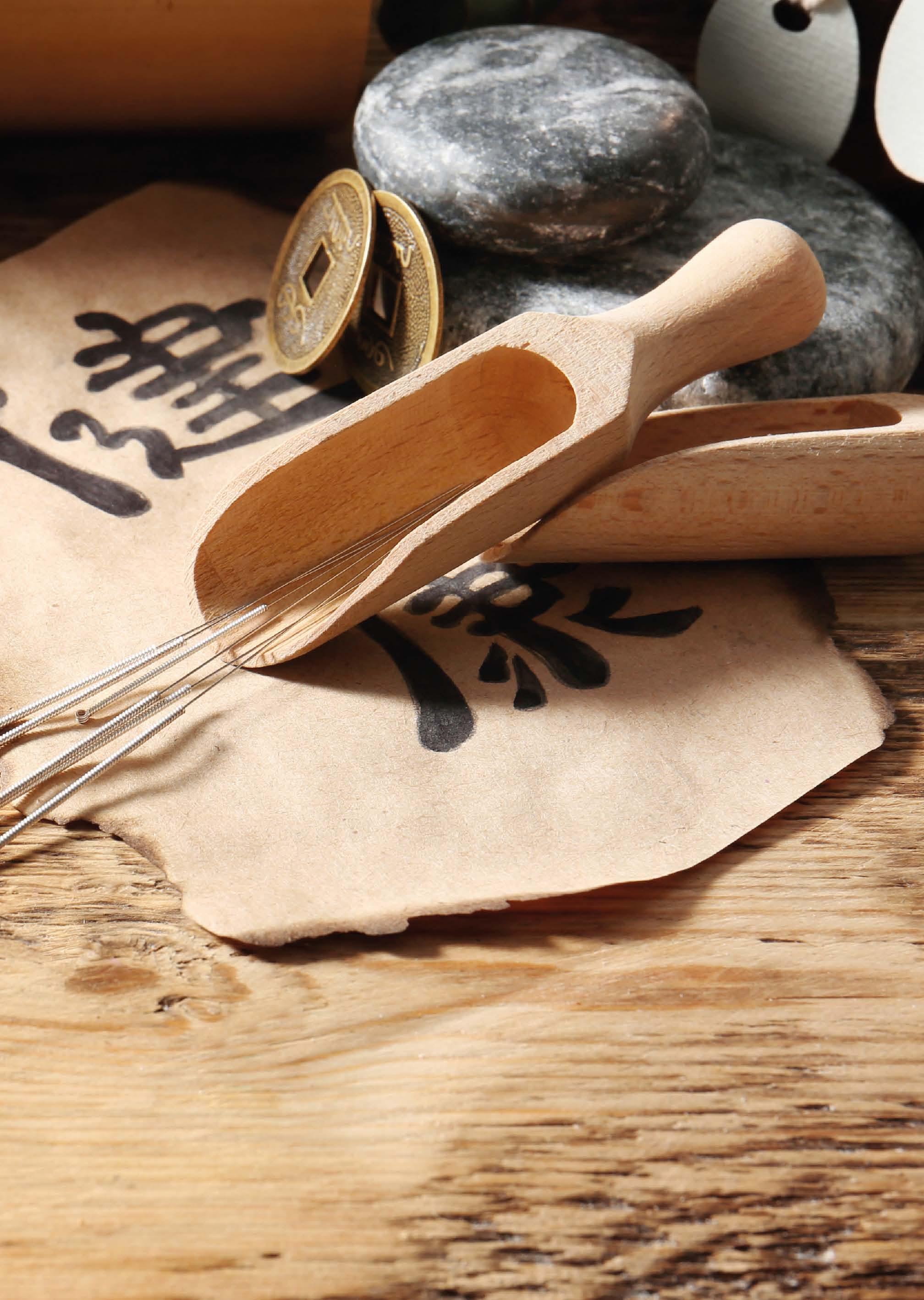 Beispielinhalt (Bild) Akupunktur beim Pferd