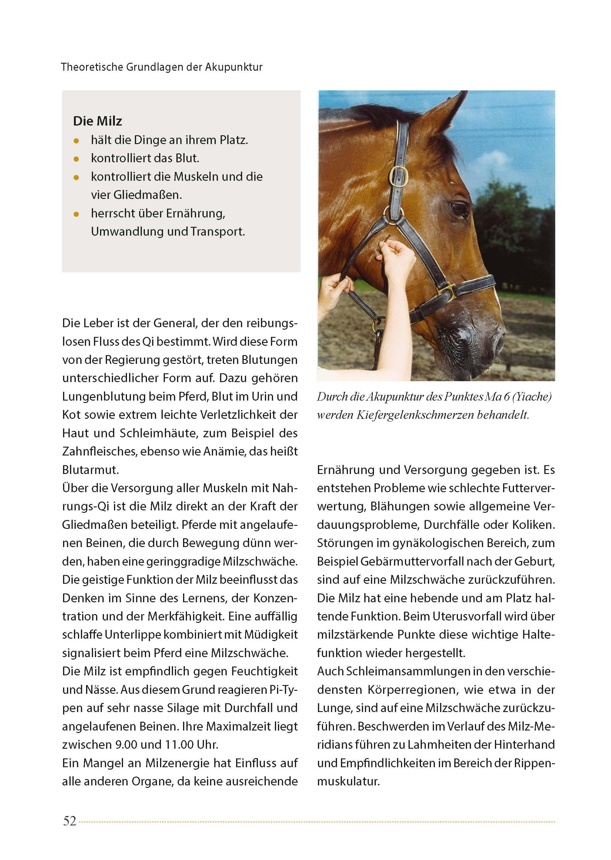 Beispielinhalt (Bild) Akupunktur beim Pferd