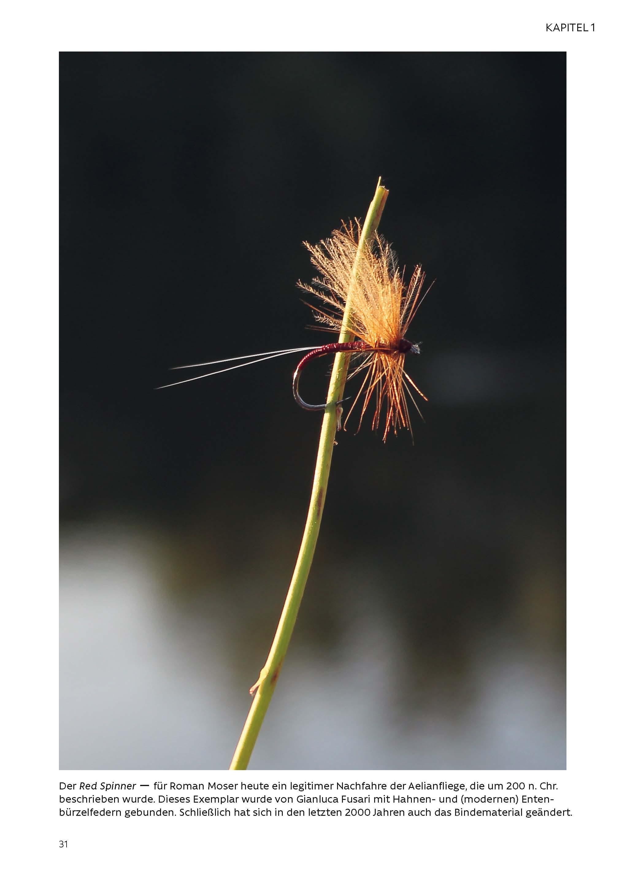 Beispielinhalt (Bild) FLIEGENFISCHEN