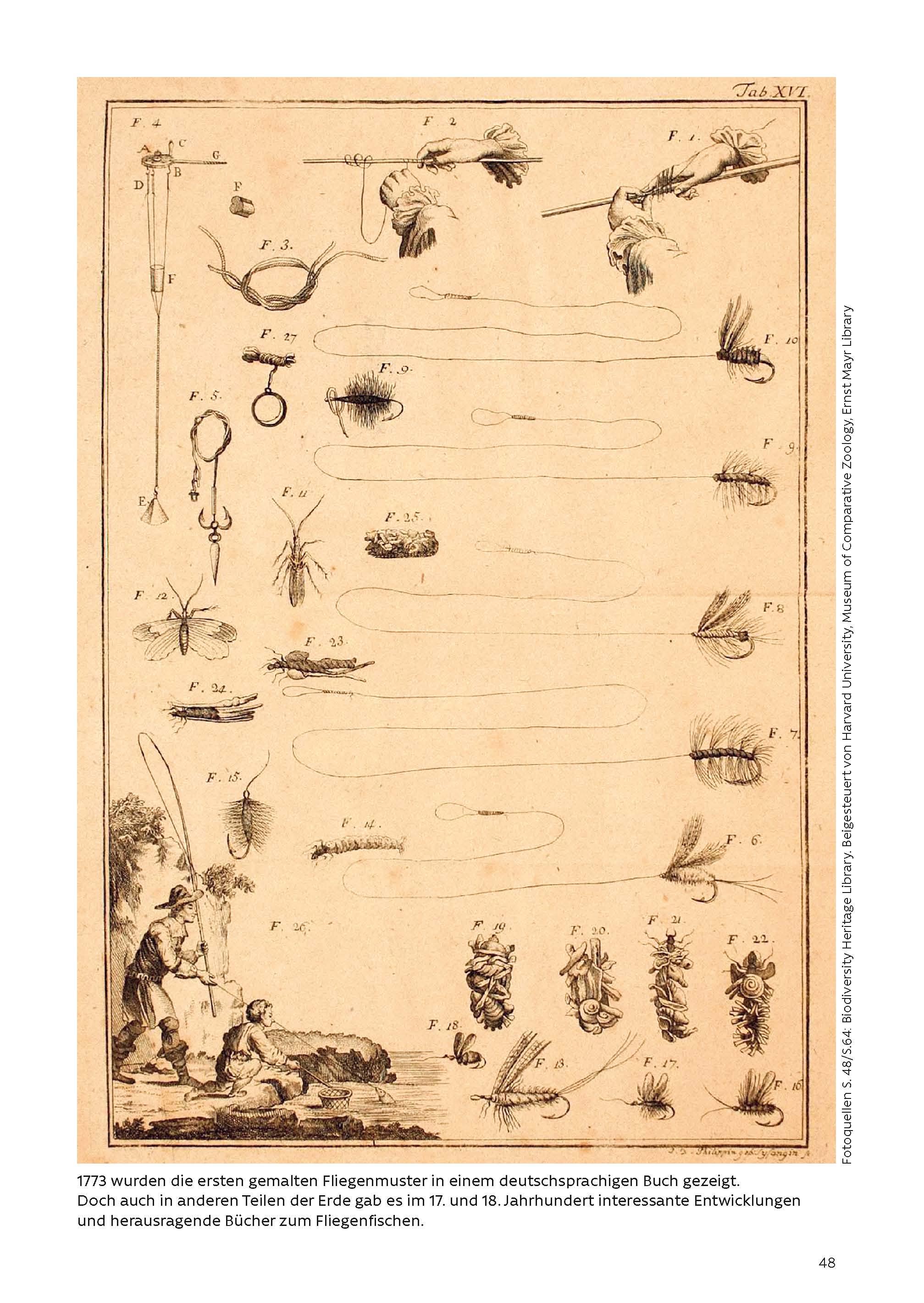 Beispielinhalt (Bild) FLIEGENFISCHEN