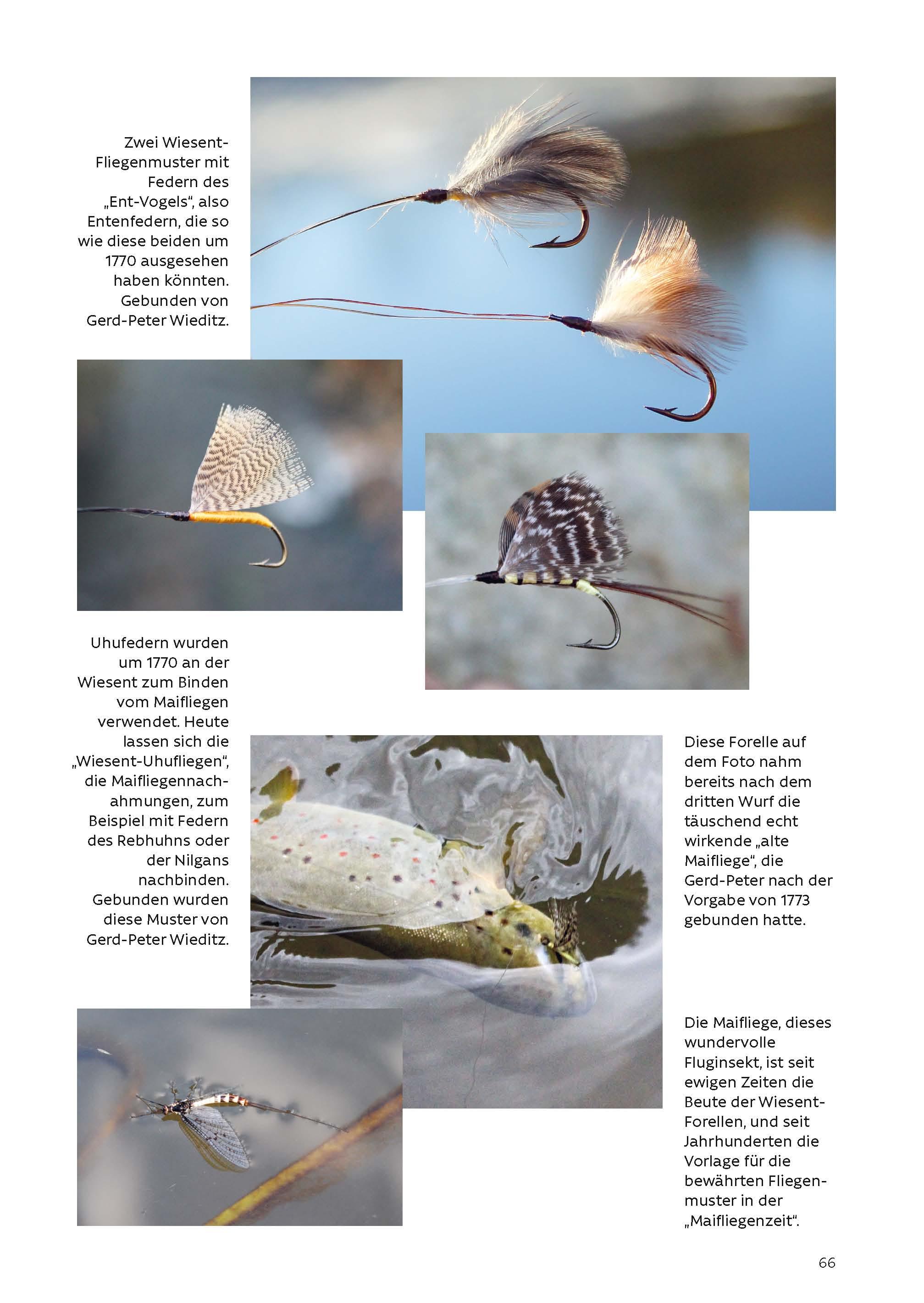 Beispielinhalt (Bild) FLIEGENFISCHEN