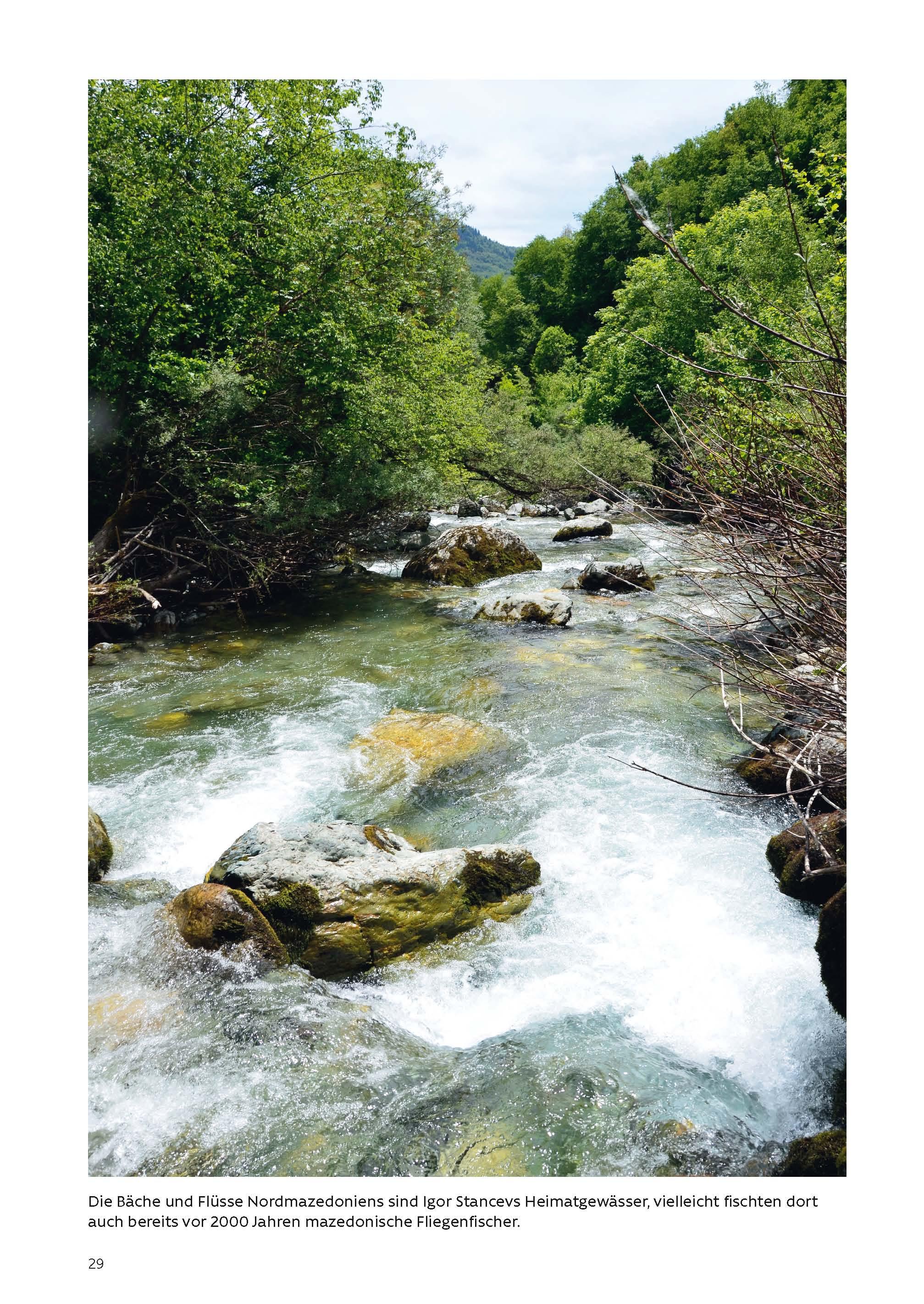 Beispielinhalt (Bild) FLIEGENFISCHEN