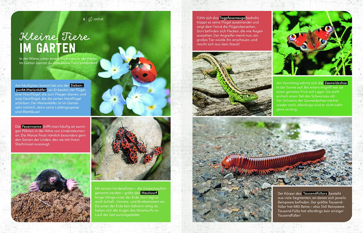 Beispielinhalt (Bild) Mein Sach- und Mach-Garten-Buch