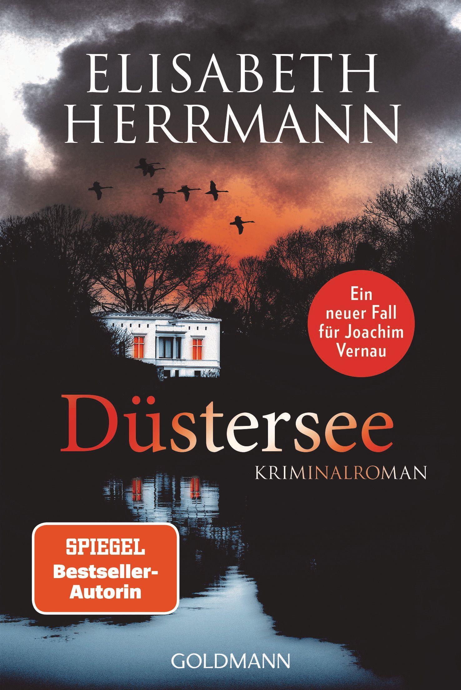 Vorderes Coverbild Düstersee