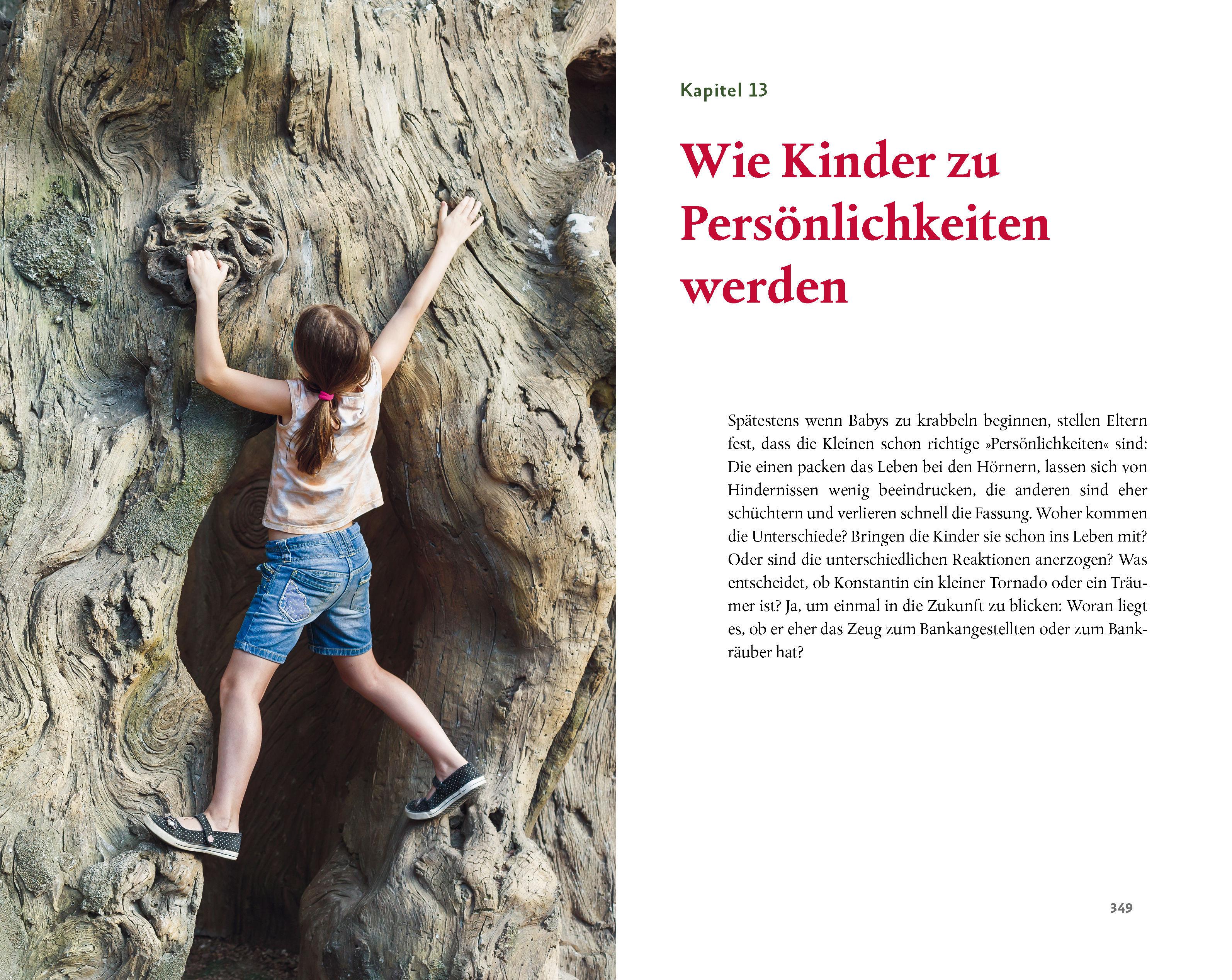 Beispielinhalt (Bild) Kinder verstehen